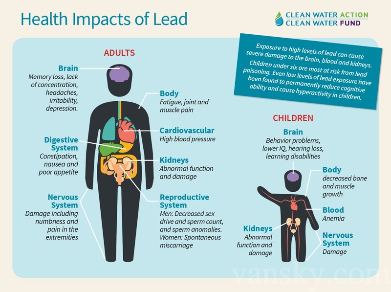 191104194934_Health Impacts of Lead.jpg